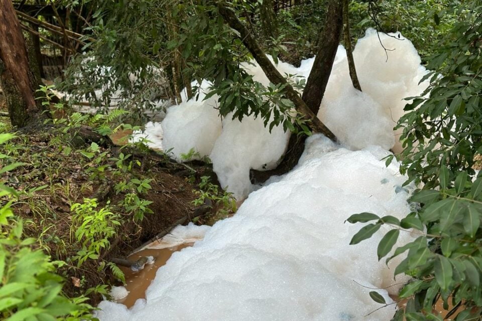 ​Córrego em Aparecida de Goiânia é invadido por espuma misteriosa