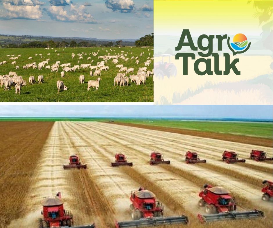 TV Brasil Central lança o programa Agro Talk