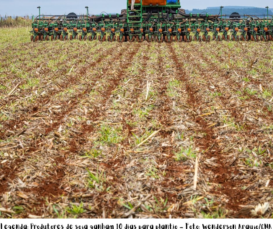 Prorrogado até 12 de janeiro o prazo para semeadura da soja em Goiás